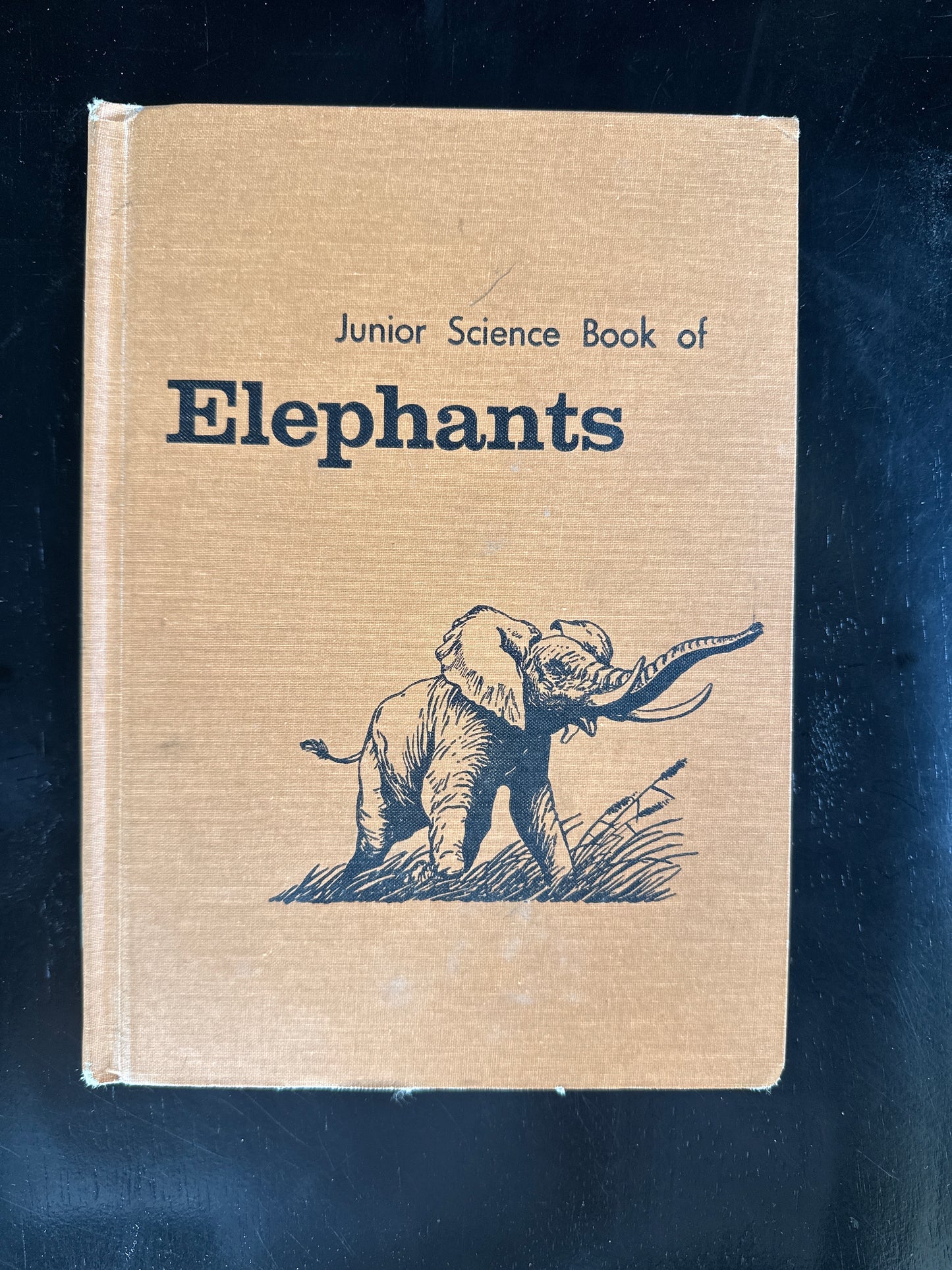 Junior Science Book of Elephants