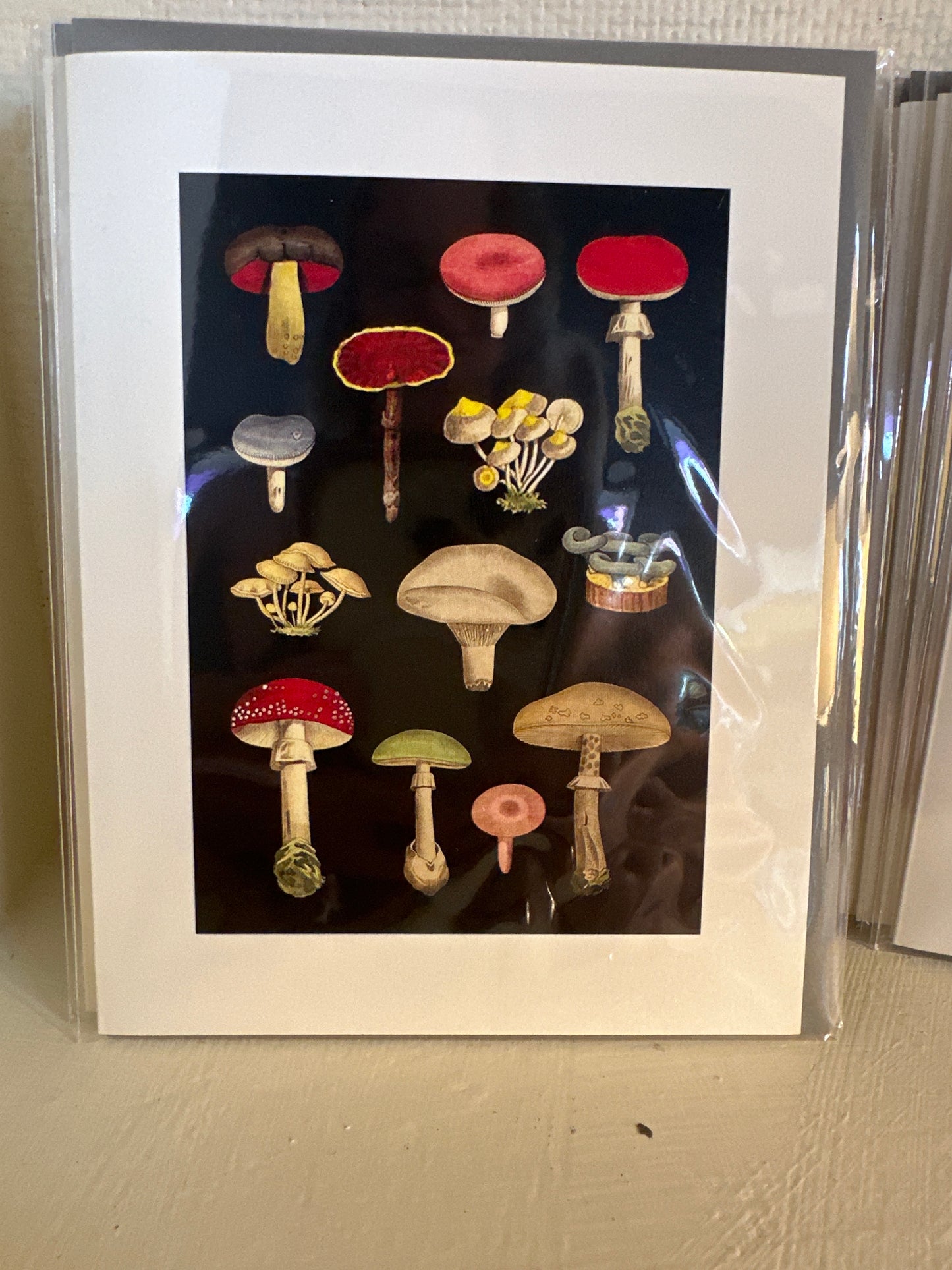 Lucca mushroom card