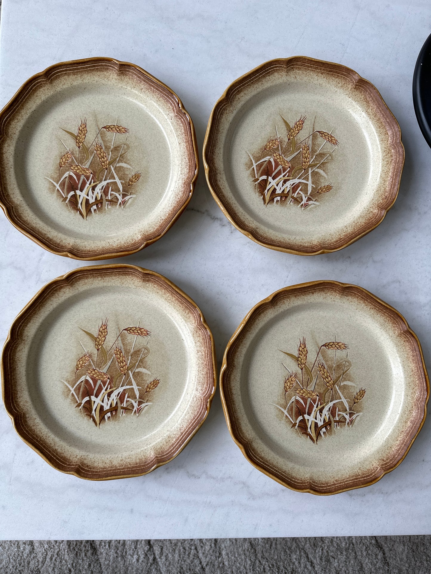 Mikasa Whole Wheat “Granola” Dinner Plates