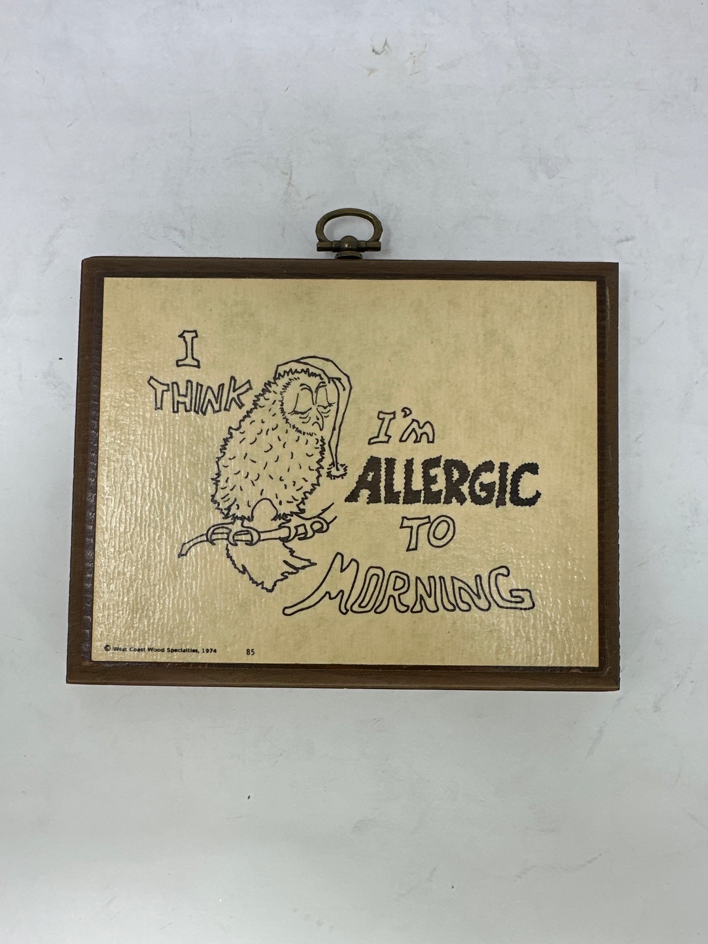 Owl Plaque - Allergic to Mornings