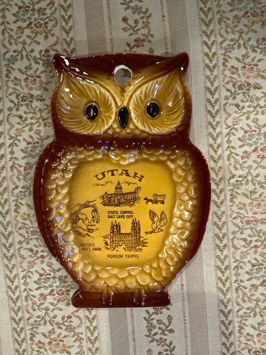Utah Owl Spoon Rest