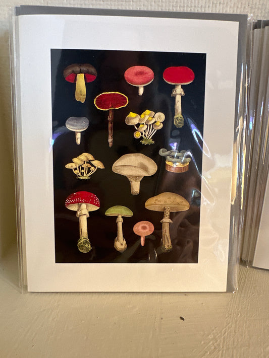 Lucca mushroom card