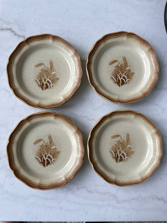 Mikasa Whole Wheat “Granola” Small Plates