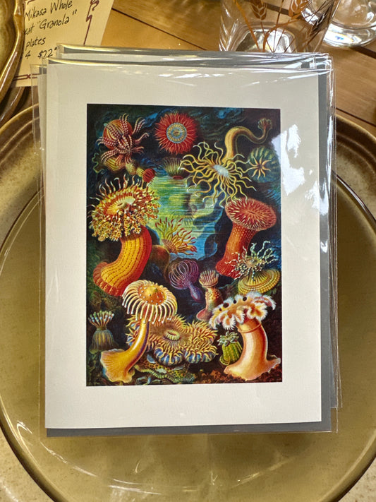 Sea Anemone Card